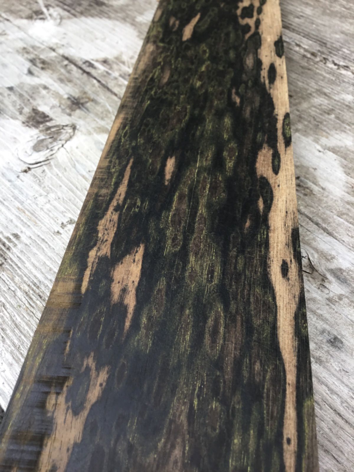 黒柿　孔雀杢　銘木　工芸品　指物
