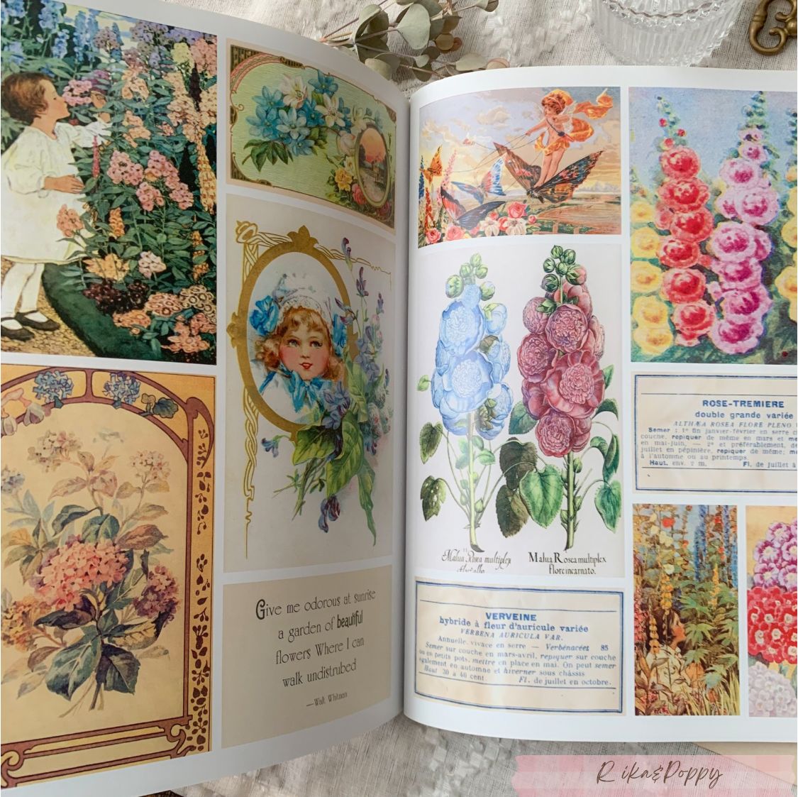 ヴィンテージ 洋書 ヴィクトリアン調 FLORALS & NATURE 花 素材集