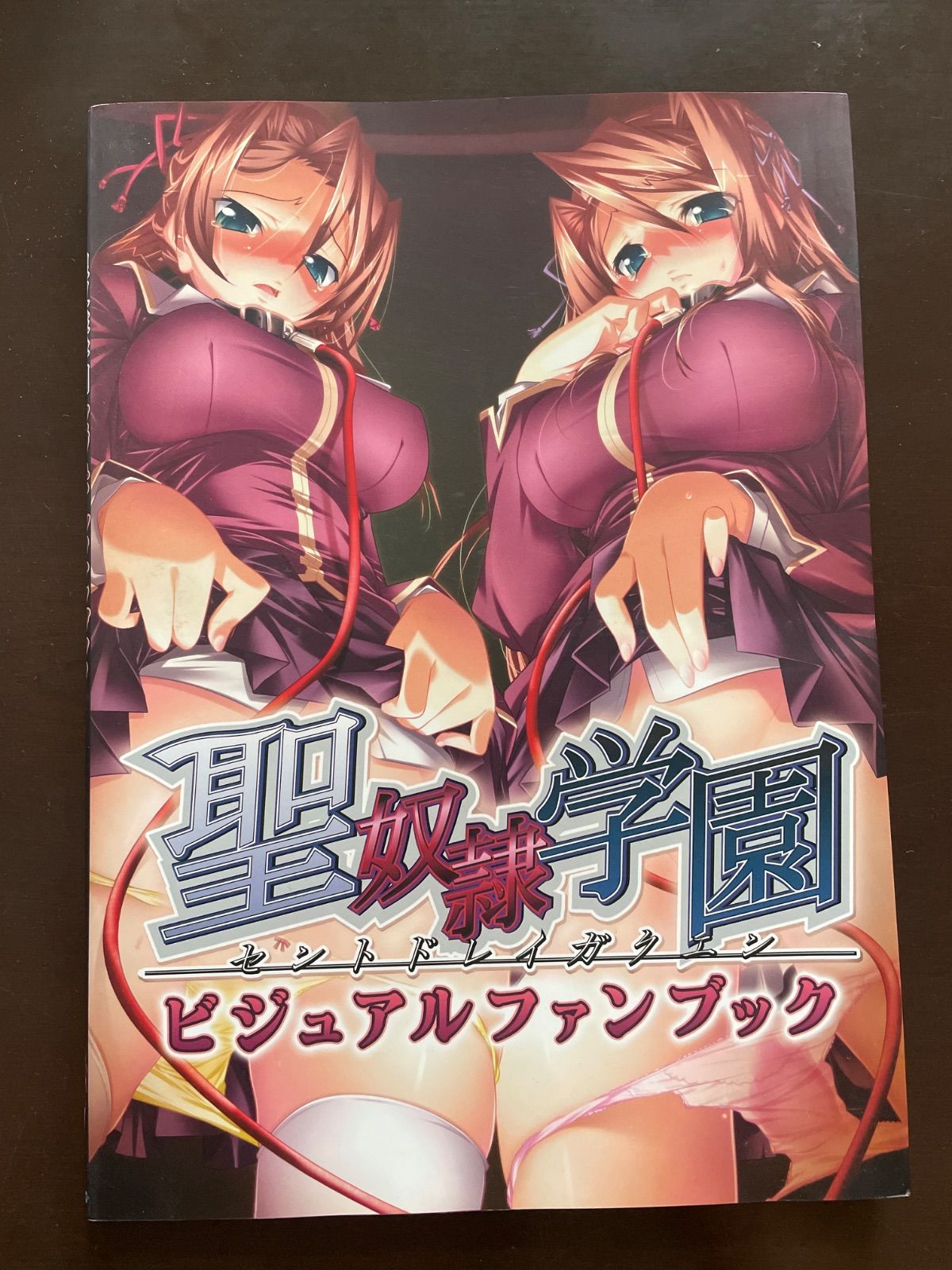 聖奴隷学園　ビジュアルファンブック
