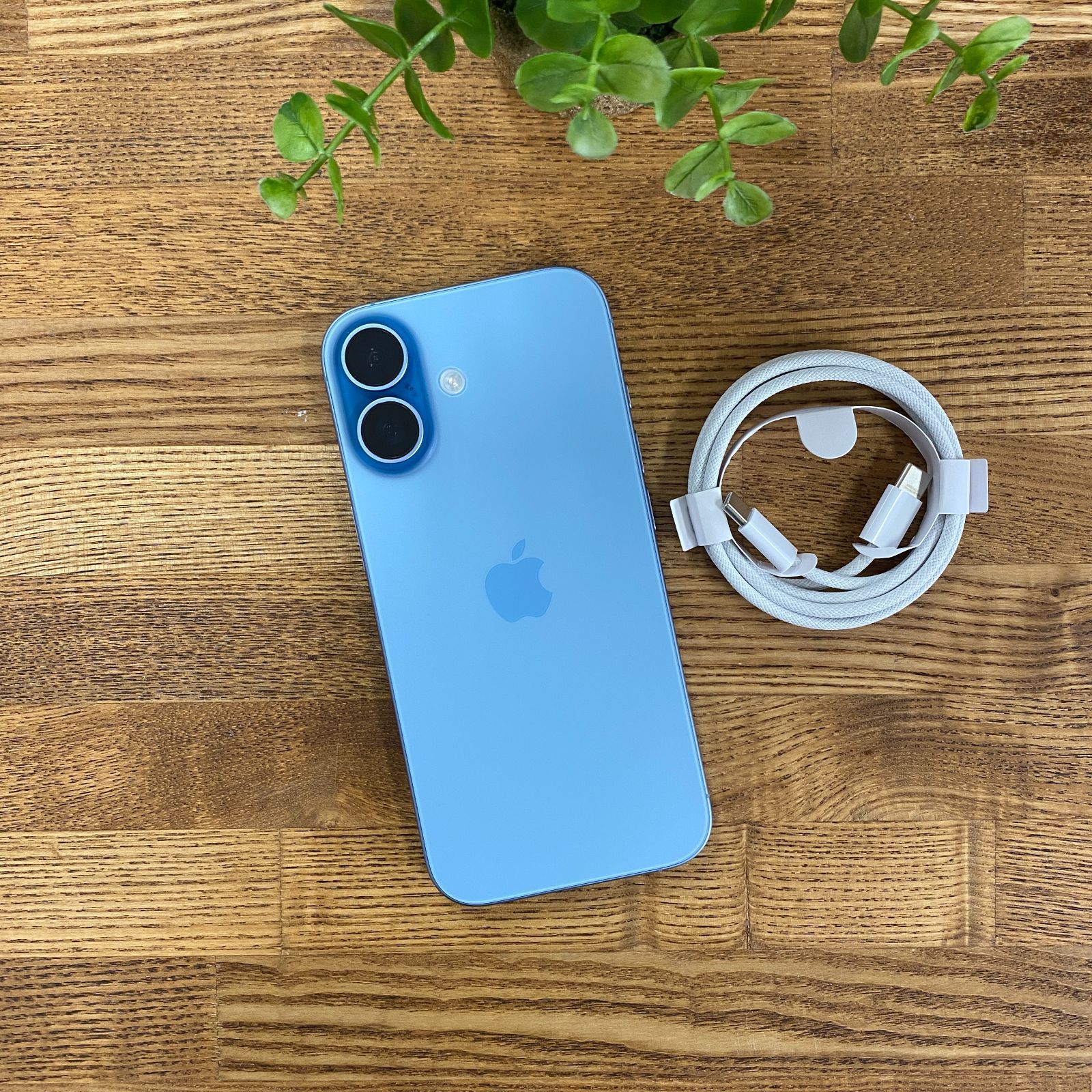 新品同様 iPhone17 256GB ミストブルー 国内版SIMフリー送料無料