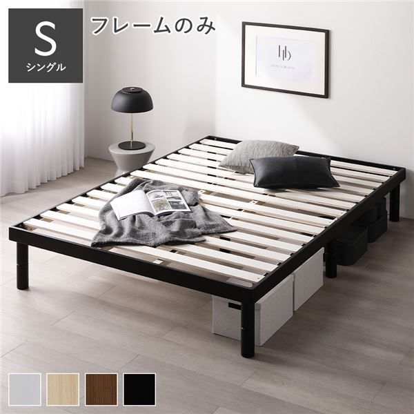 鹿児島産 エバーフレッシュ 曲がり 8号 160cm calm cafe