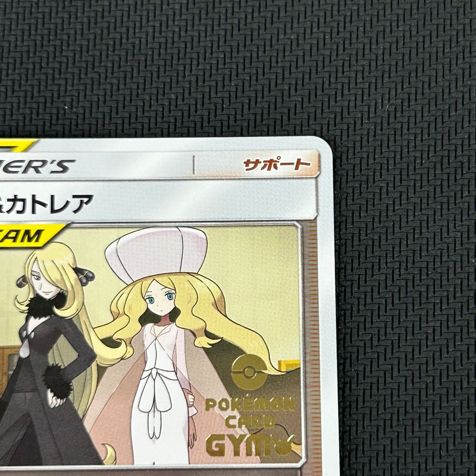ポケカ シロナ&カトレア PROMO プロモ 088/S-P 楽しもう。春、ポケカ