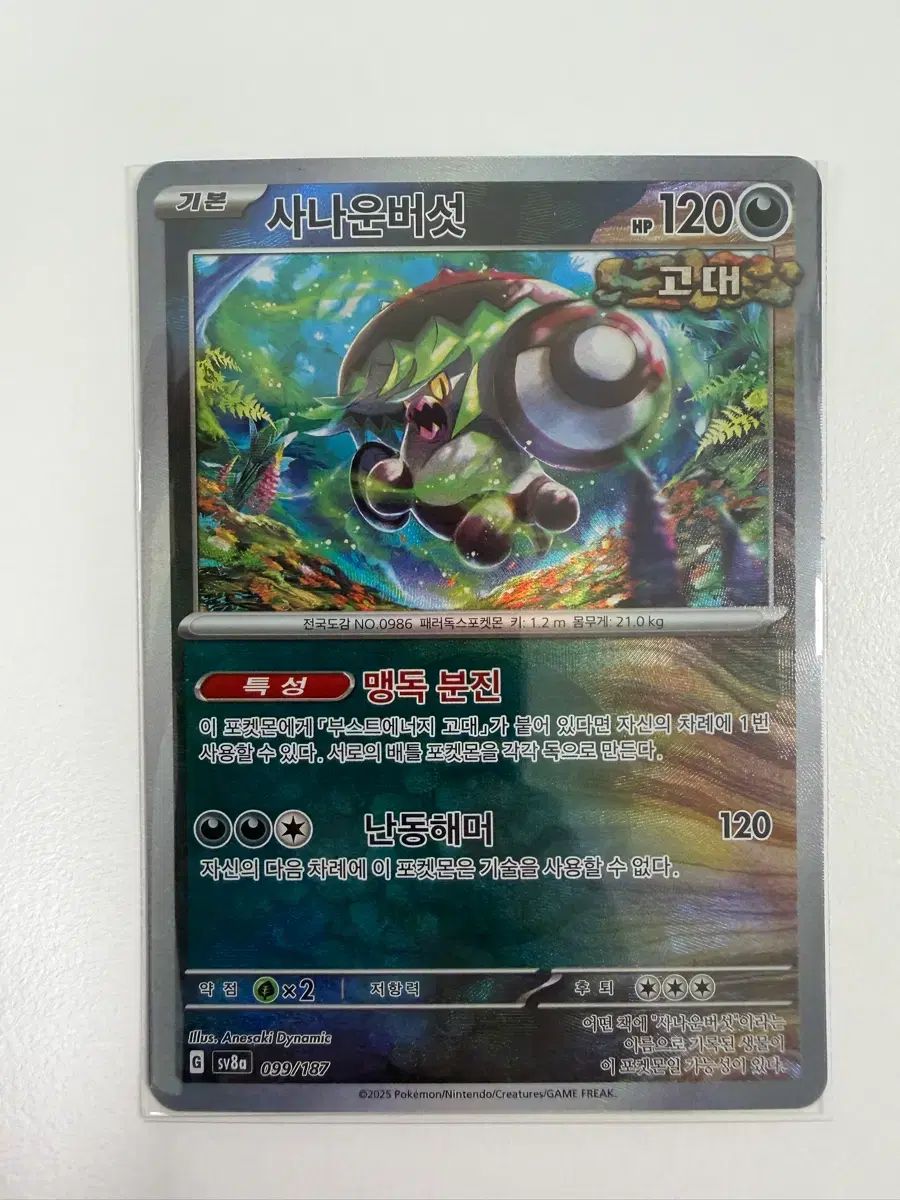 ポケットモンスターカード サナ きのこ MONSTER ボール