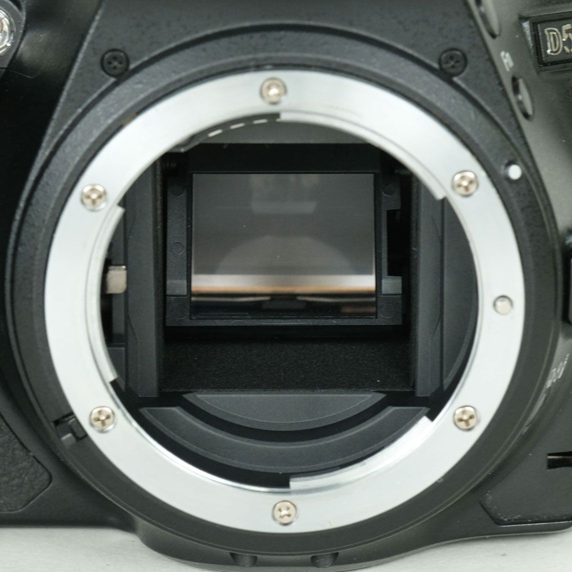 良品 | シャッター数26,780回] Nikon D5500 | Nikon Fマウント - メルカリ