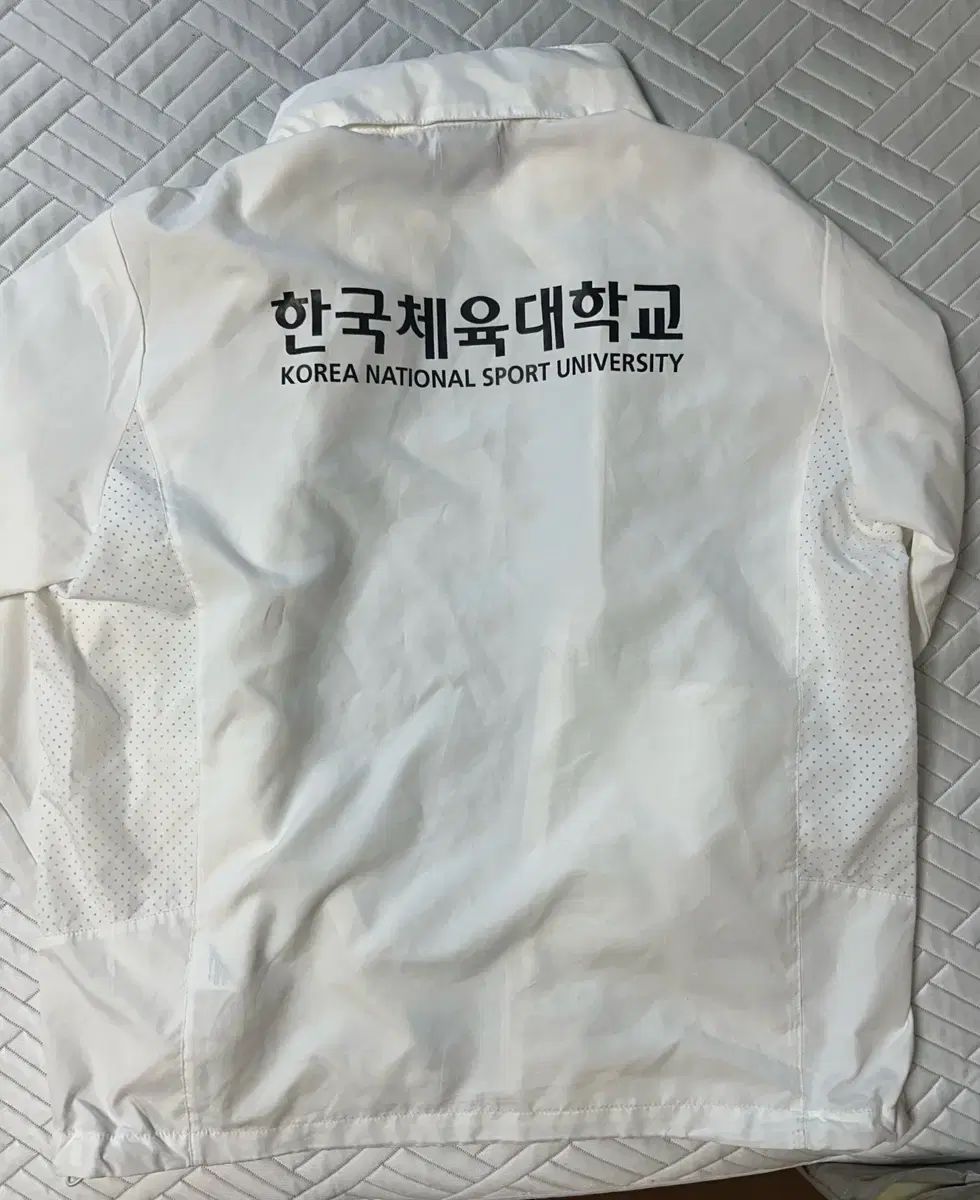 韓国体育大学 ウィンドブレーカー