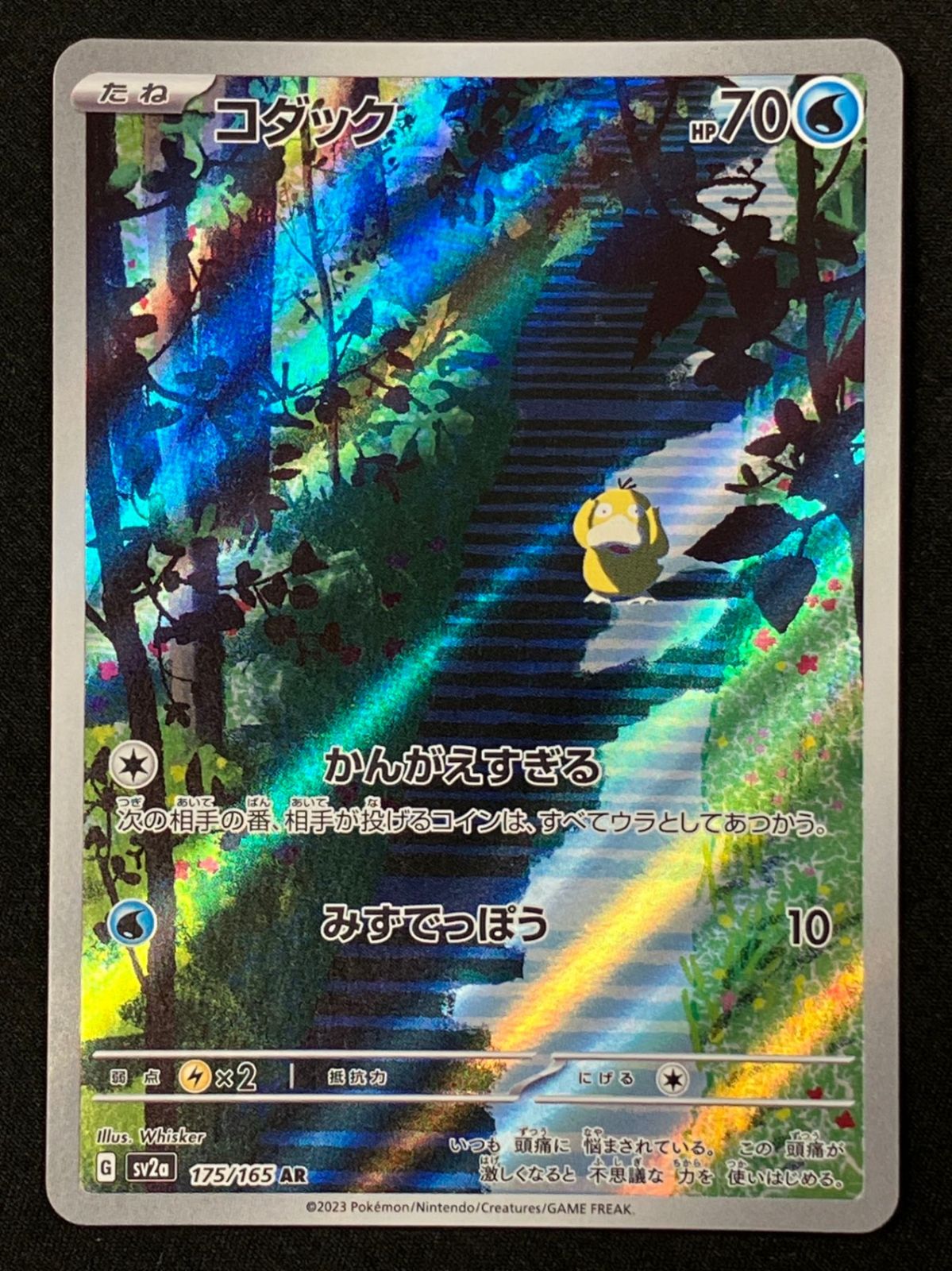 コダック AR SV2a-175_266 - メルカリ