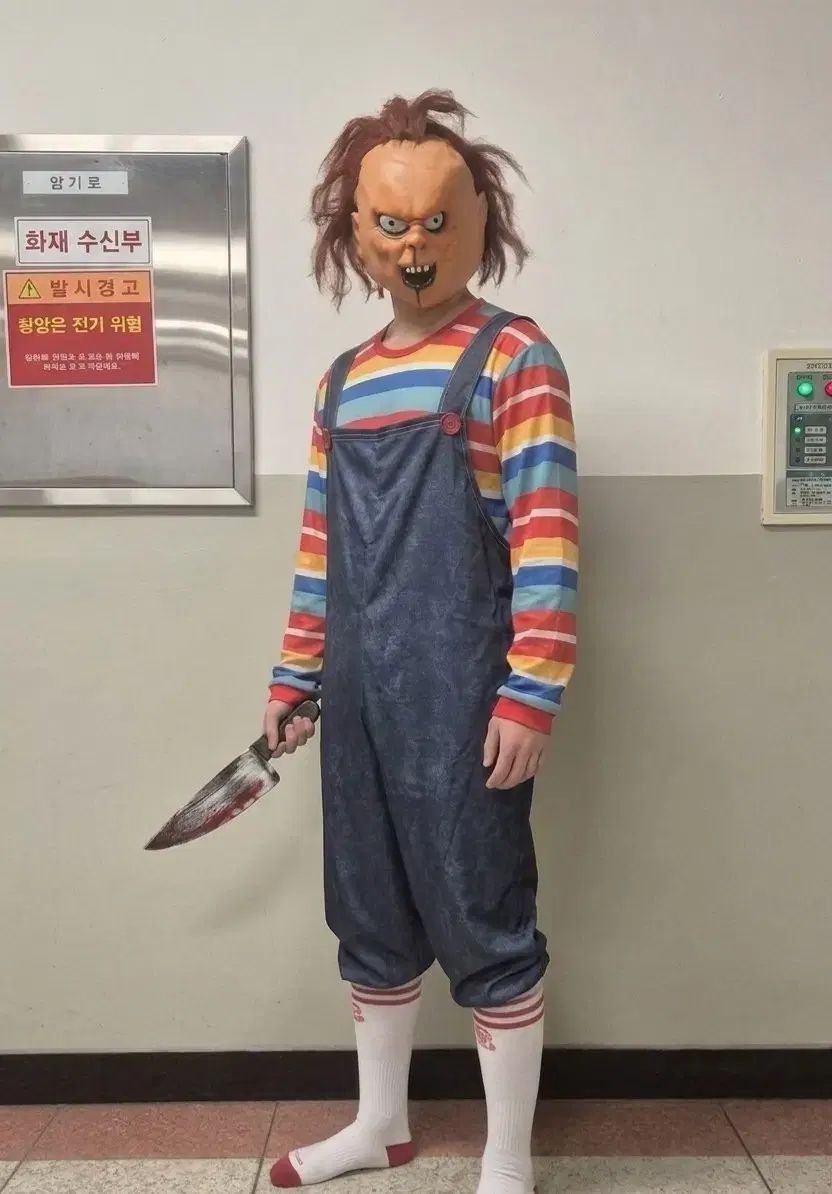 卒業写真 チャッキー コスチューム (ウィッグ 含む)