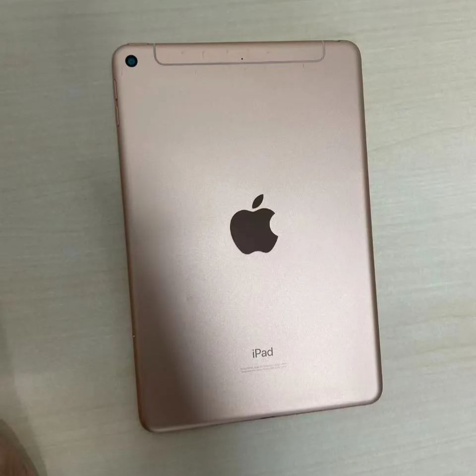 ジャンク】iPad mini 5 64GB SB セルラー - メルカリ