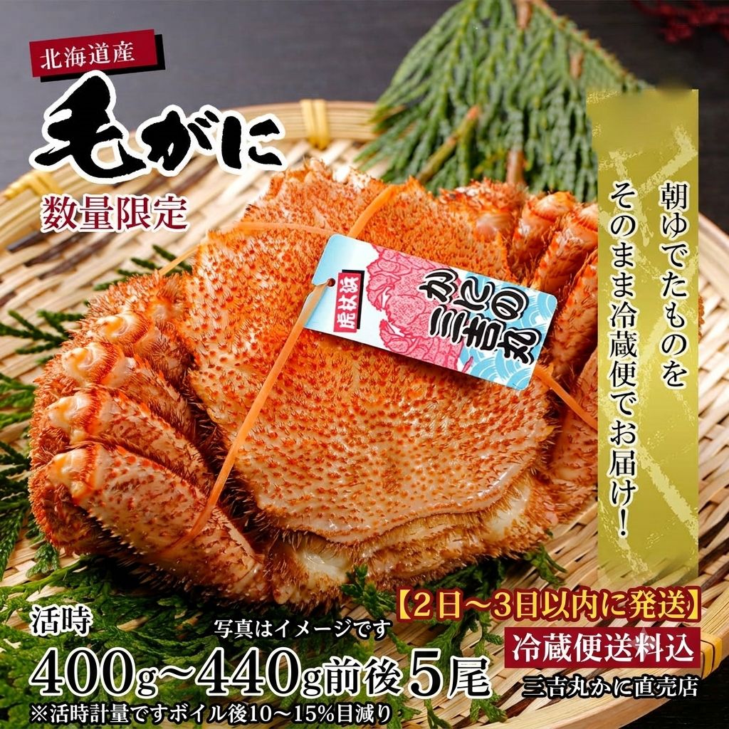 ゆでたて冷蔵便毛ガニ活時400g～440g×5尾北海道産噴火湾・胆振・十勝・日高・稚内
