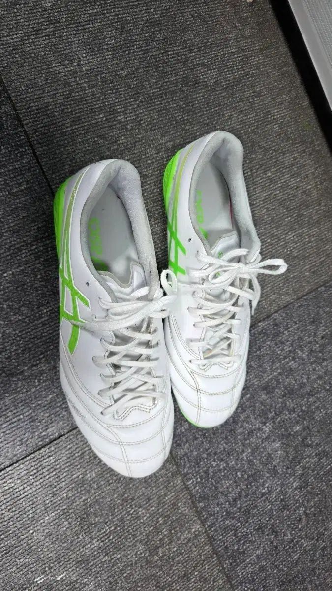アシックス サッカーシューズ DS ライト X-FLY 6 AG 255