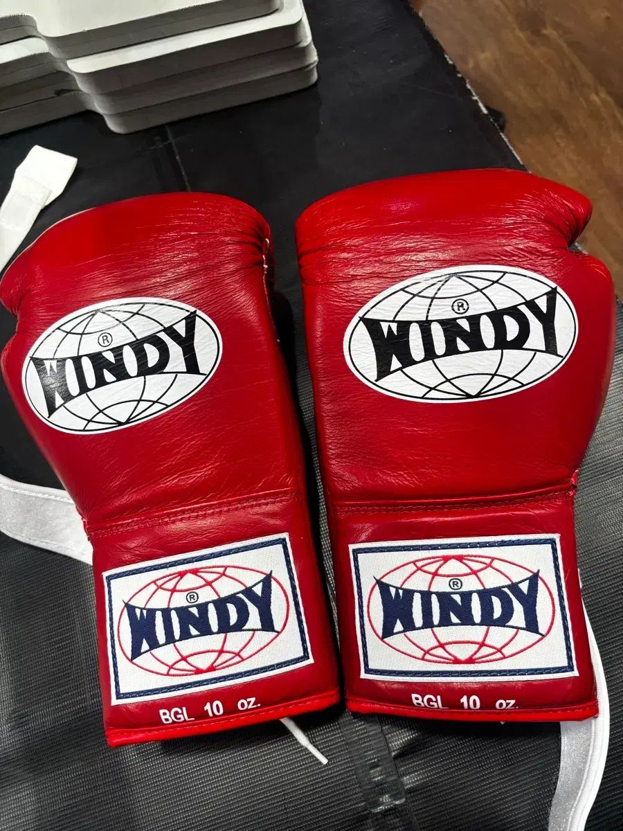ウィンディー グローブ 10オンス windy