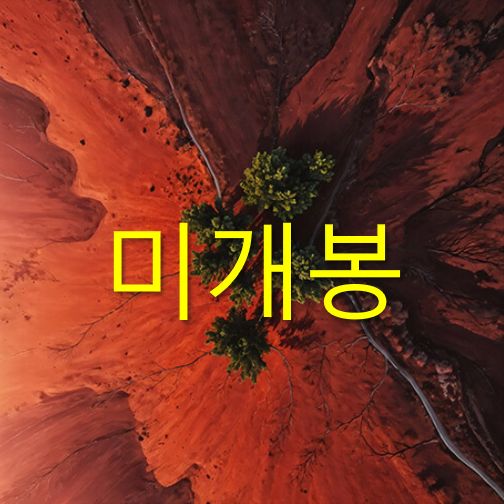 未開封 ブラウン （ BRWN ） ー Monsoon CD 7,489円