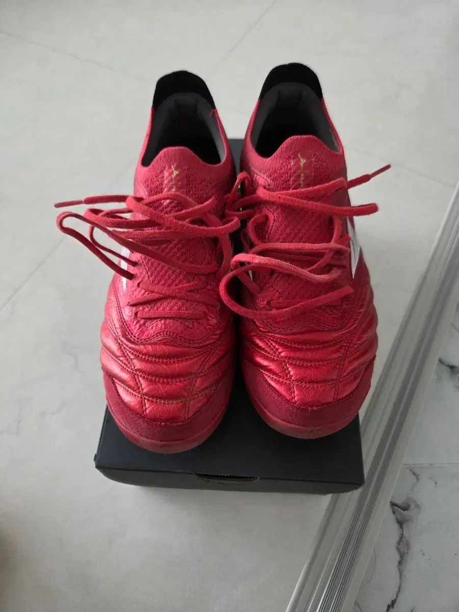 mizuno モレリアNEOサラベータ jp tf