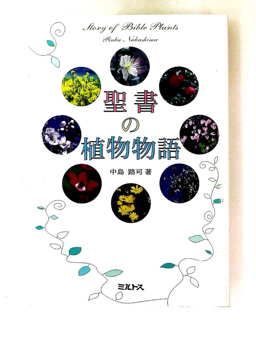 聖書の植物物語 中島 路可 ミルトス