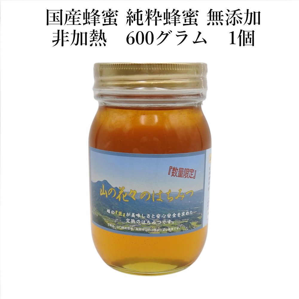 食品 【完熟・非加熱】塚本養蜂場 国産純粋蜂蜜 600g×3個賞味期限2028