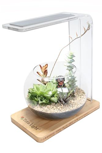 植物育成 <テラライト> LED テラリウム・アクアリウム・ライト 手作りガラス容器付属 多肉 ・観葉植物 苔 ハイドロカルチャー 水草などに広範囲照射 間接照明 インテリアライトとして癒しの空間を演出 国内発送 979acc18