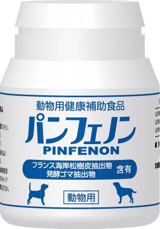 パンフェノンファースト 120粒