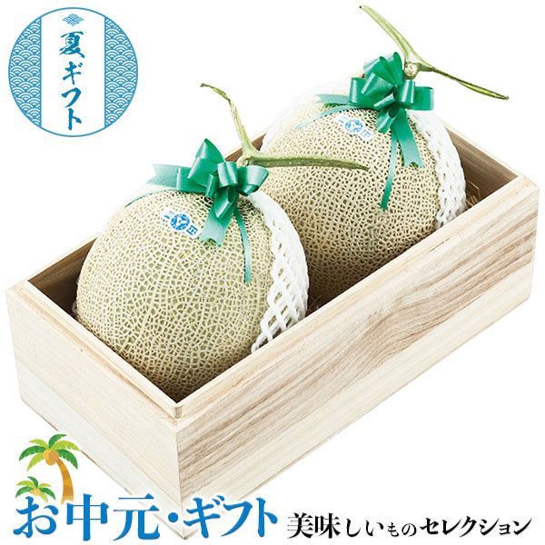 天然苔 上質 コツボゴケ 5トレー 【最安値で販売中】