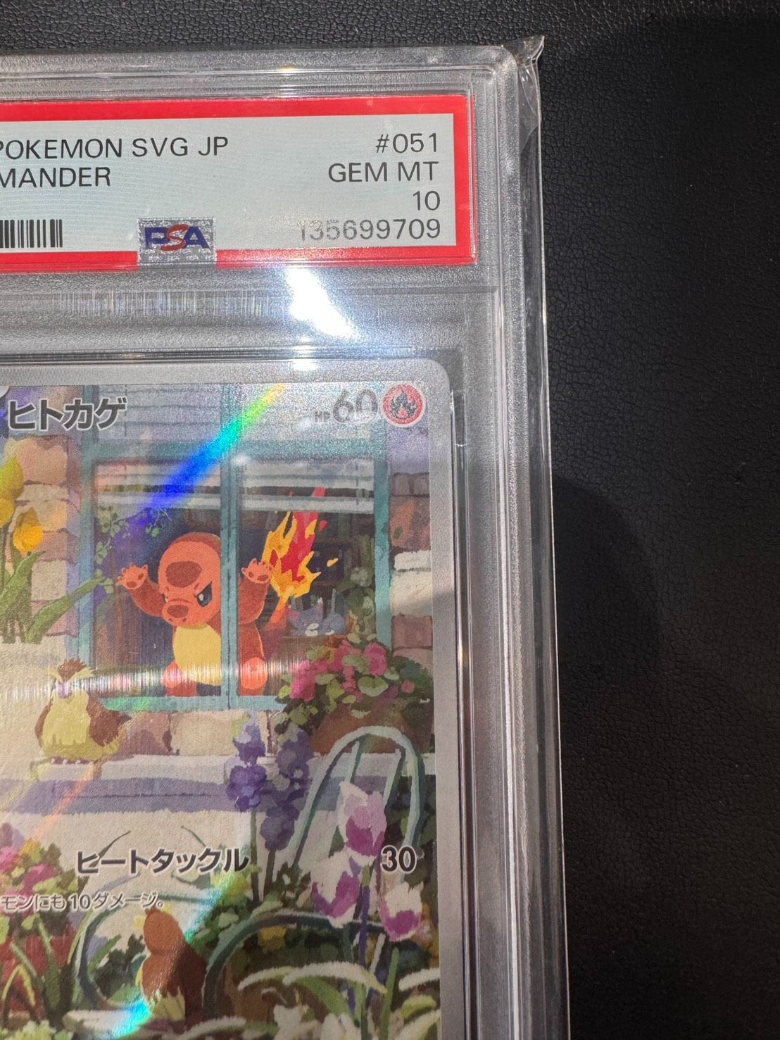 PSA10 ヒトカゲ AR SVG 051/049 スペシャルデッキセットex プロモ