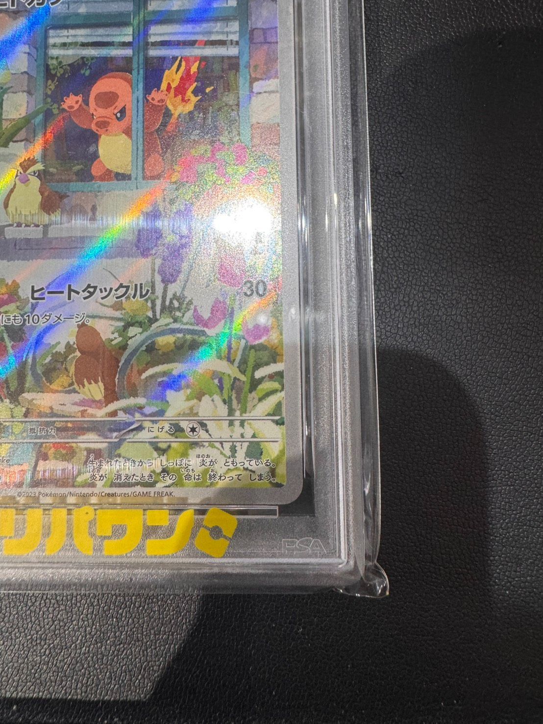 PSA10 ヒトカゲ AR SVG 051/049 スペシャルデッキセットex プロモ