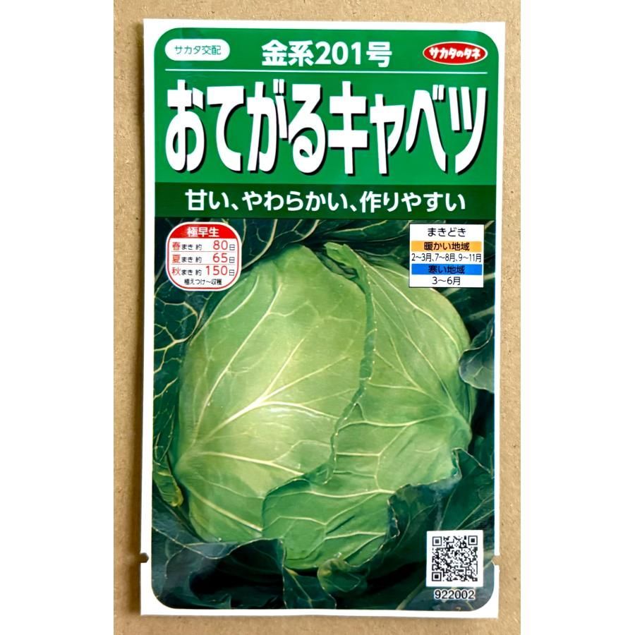 おてがるキャベツ 金系201号 種 0.8ml キャベツ きゃべつ - メルカリ