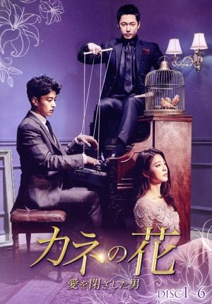 カネの花~愛を閉ざした男~ DVD-BOX1 チャン・ヒョク,パク・セヨン,チャン・スンジョ[DVD](中古)