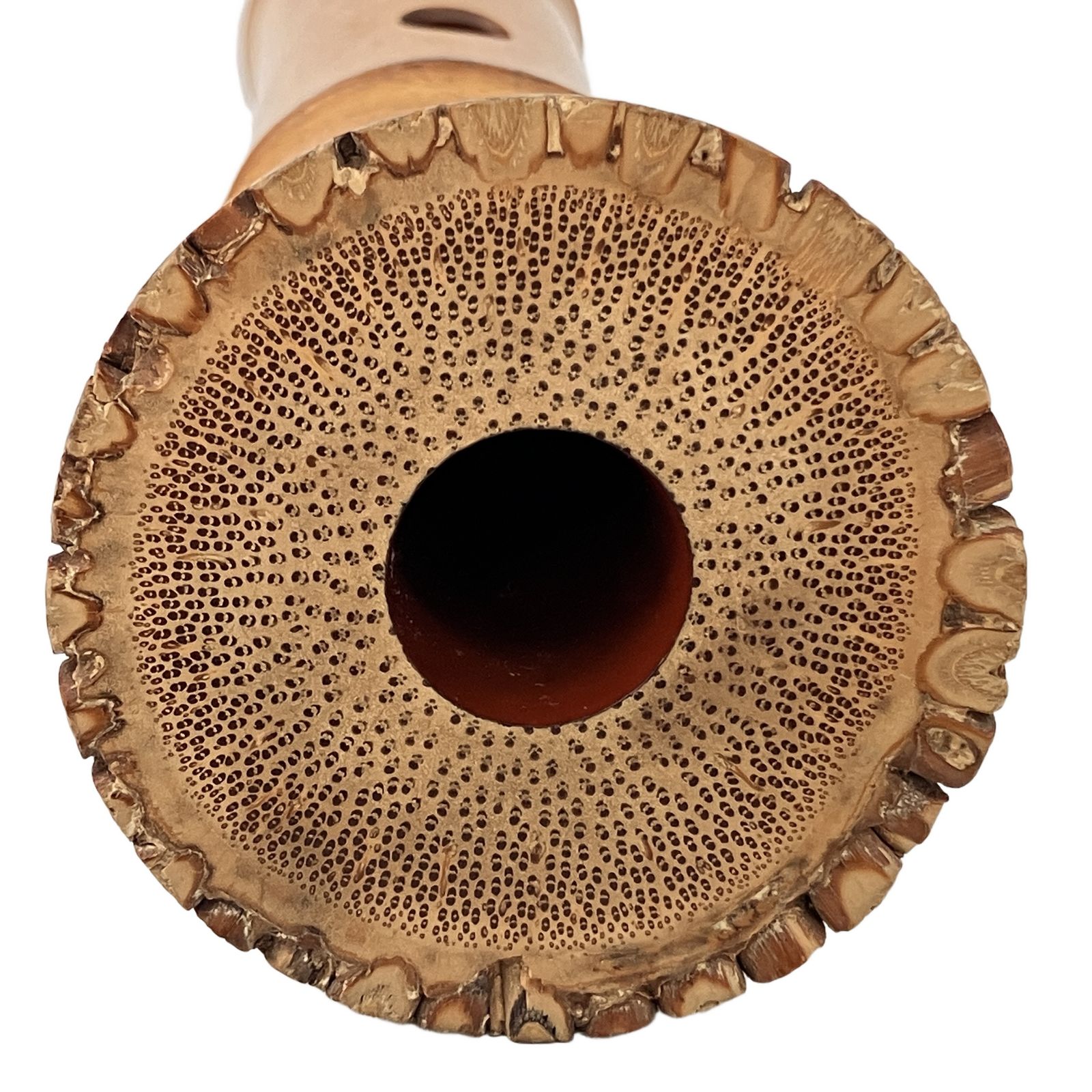 尺八 銀三線 精華堂 在銘 干山 都山流 約45.5cm 約一尺五寸 管楽器