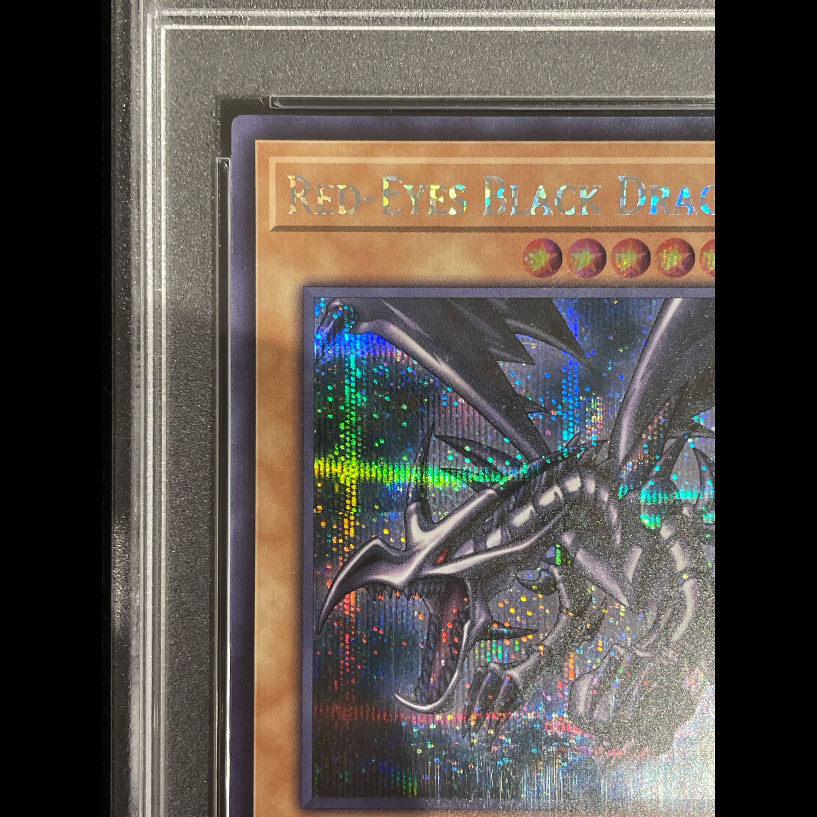 PSA10】真紅眼の黒竜 (英語版/ナイキロゴ) [シークレット] {NKC1-EN002 