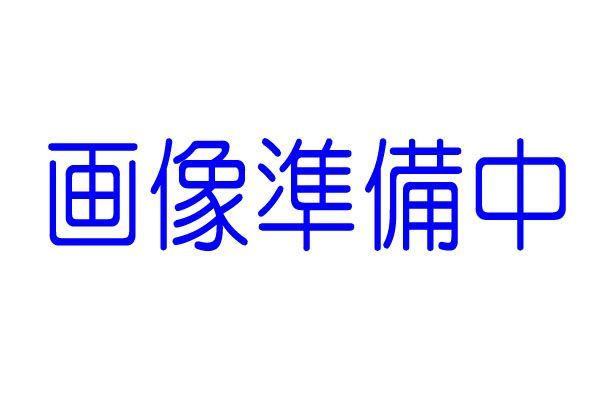 ★▲ミッドナイトパンプキン用ボディ,C,E,Fパーツ,ステッカー,19335668,19005258,119000444,19000445,19495638（特定記録郵便