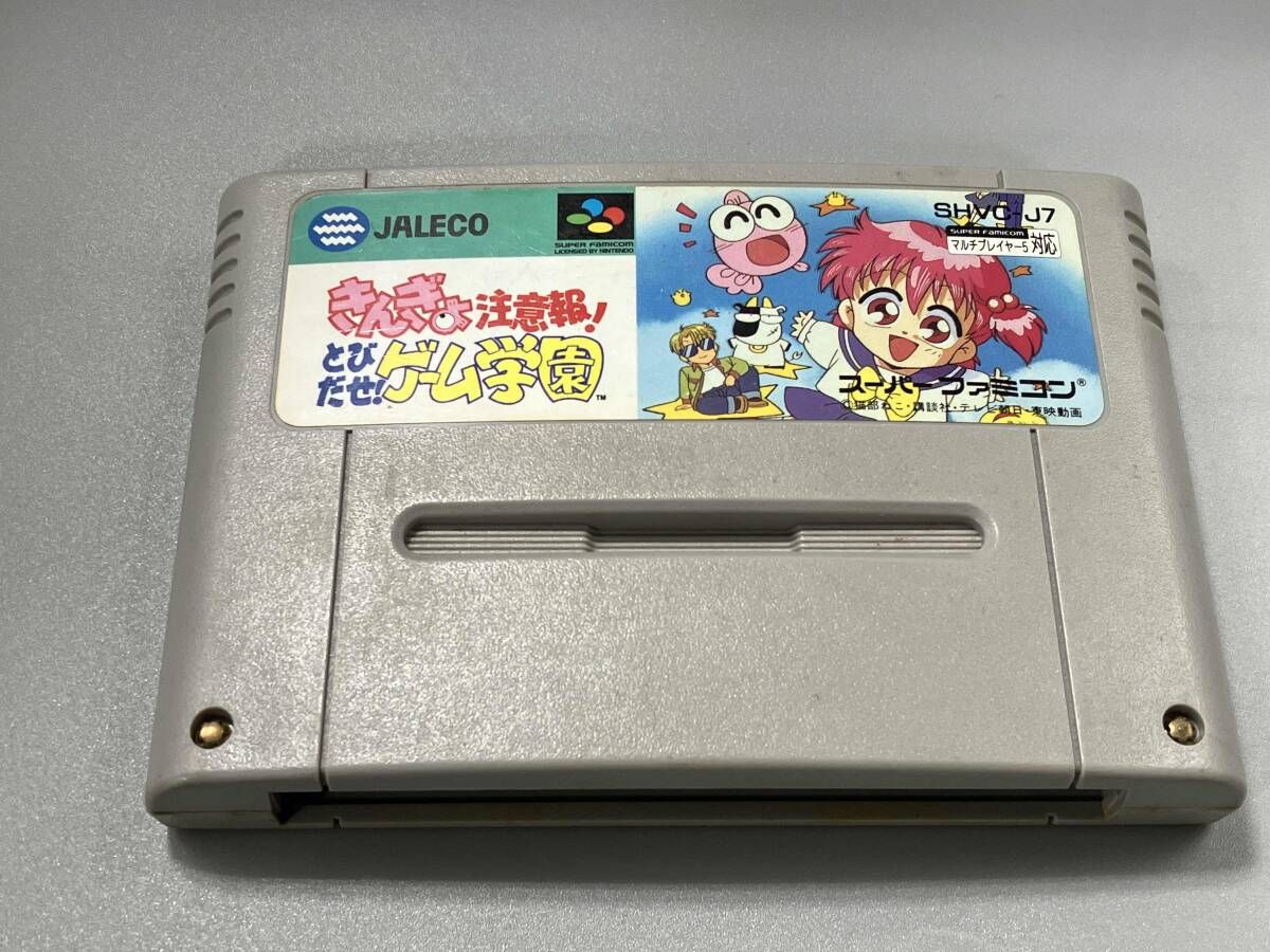 きんぎょ注意報！ STORE AMNIBUS きんぎょ注意報 DVD「きんぎょ注意報