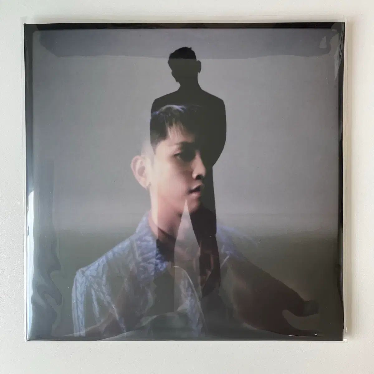 Crush (クラッシュ) ー wonderego (ワンダーイゴ) LP コンサートクラス