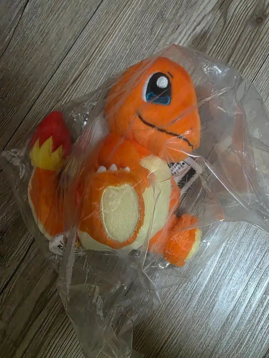 ポケットモンスター 30周年 一番くじ ヒトカゲ ぬいぐるみ 出品