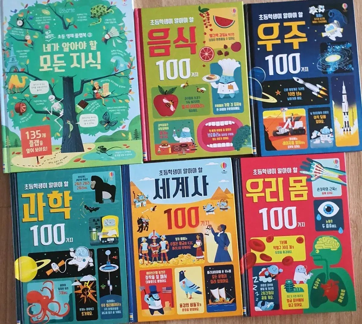 小学１年生が知っておくべきシリーズ ドー書 小学 영재 플랩 북