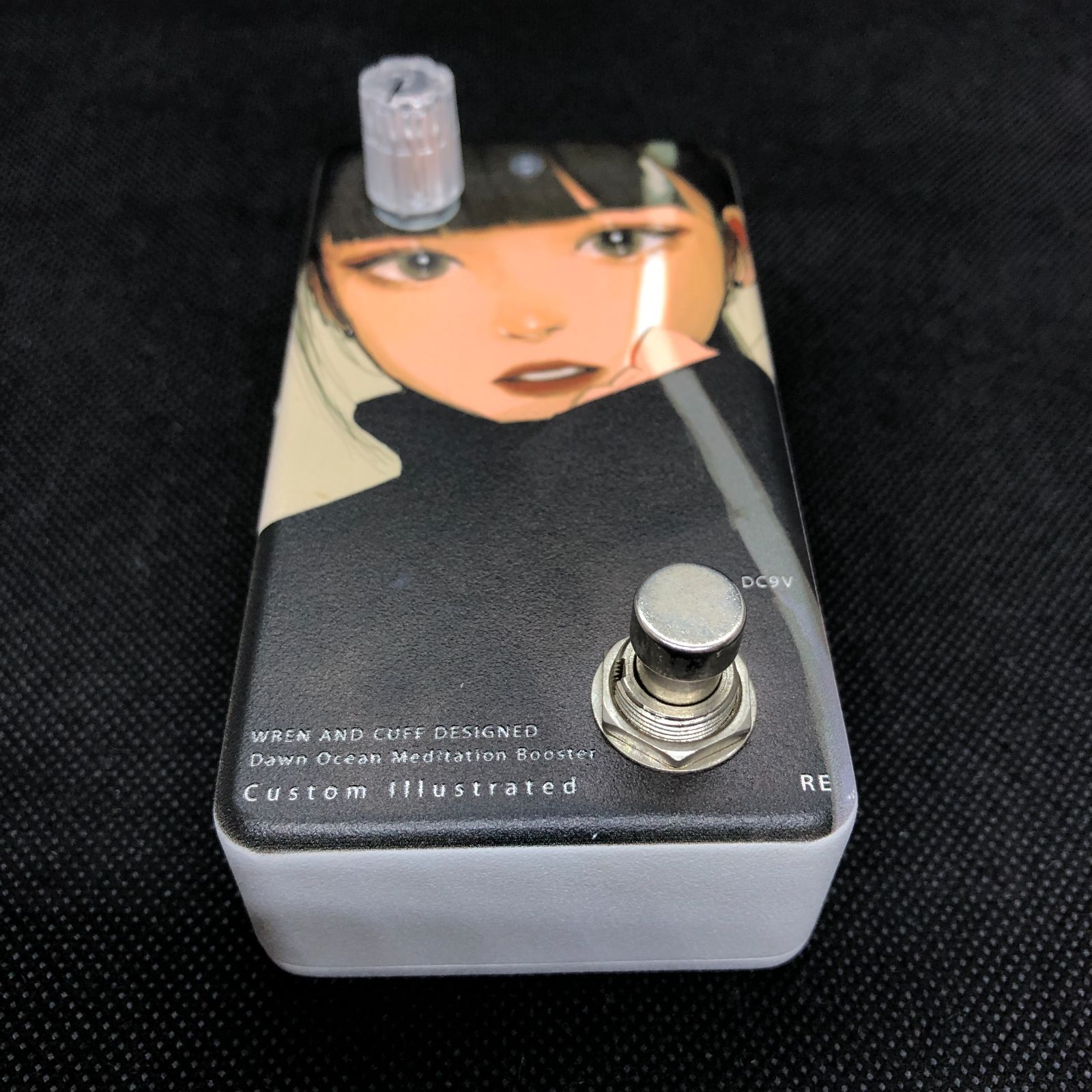楽器・機材 Animals Pedal Custom Illustrated 日差し