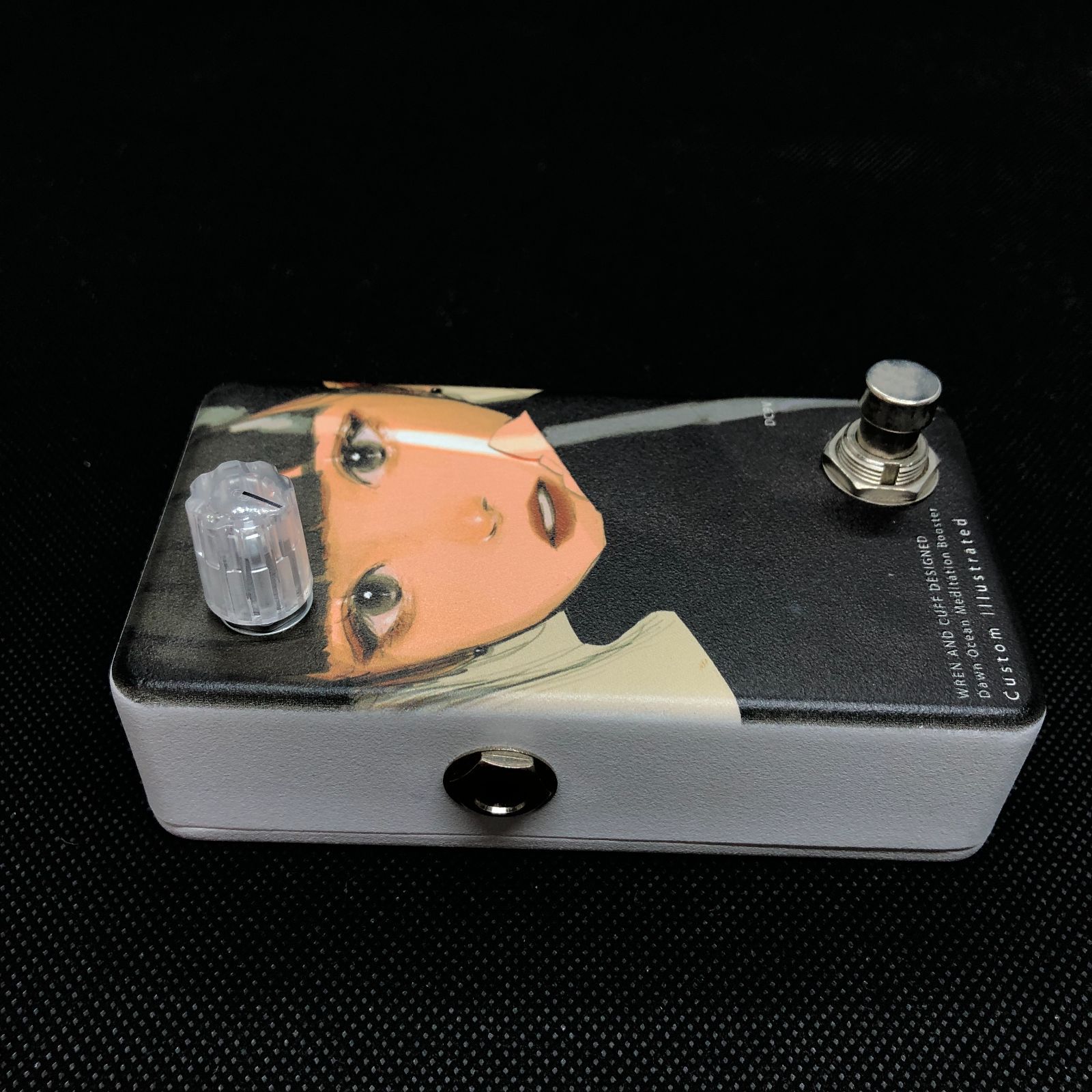 Animals Pedal Custom Illustrated DOMB might #02 日差し reprint 