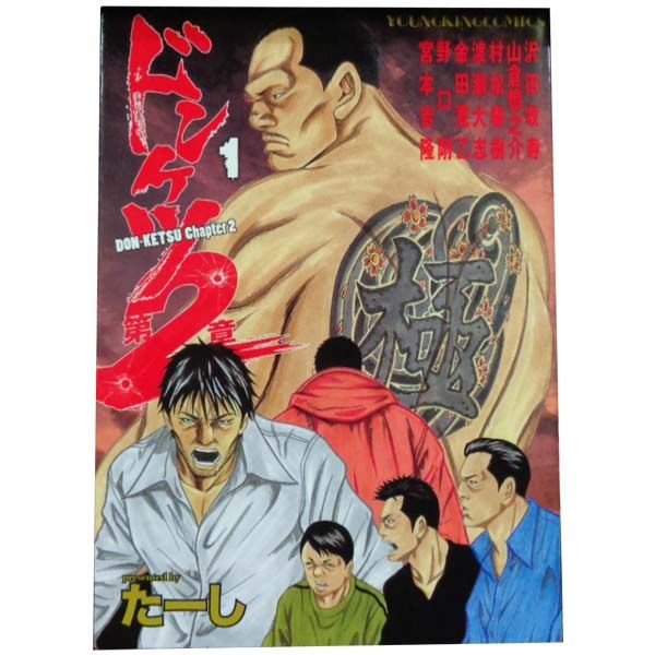 ドンケツ第２章 1～17巻 までの全巻セット ＹＫコミックス たーし 少年画報社（青年コミック）
