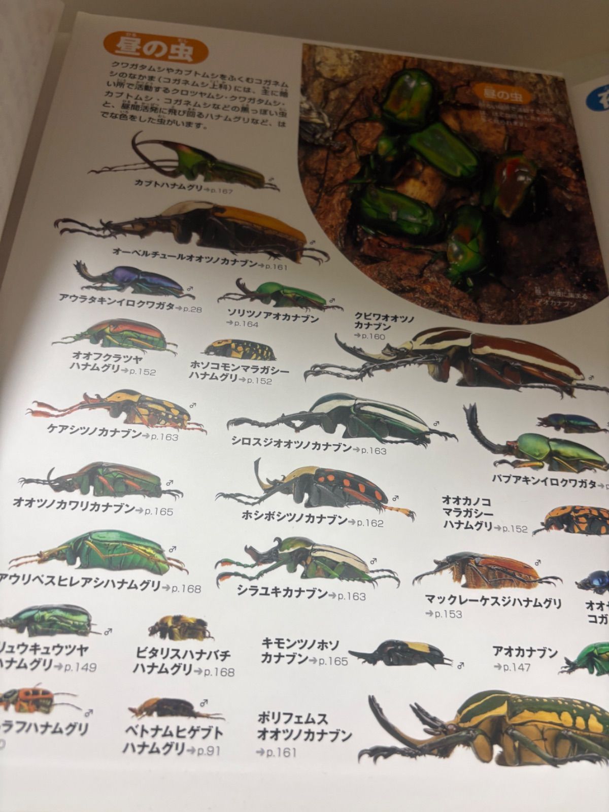 小学館の図鑑NEO 7巻セット - メルカリ