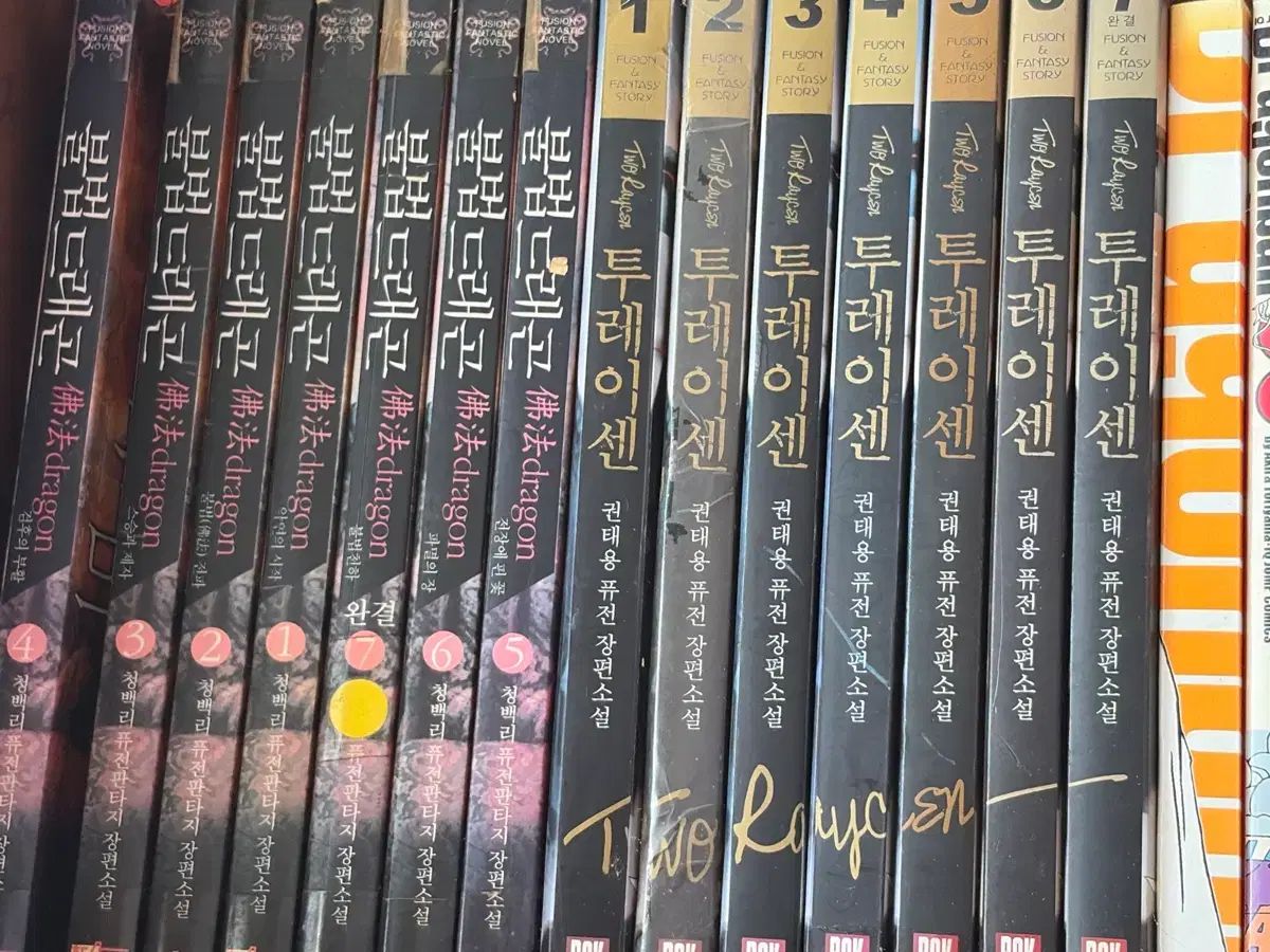 ドラゴン・トゥ・レイセン・ヒュージョン 長編小説 セット