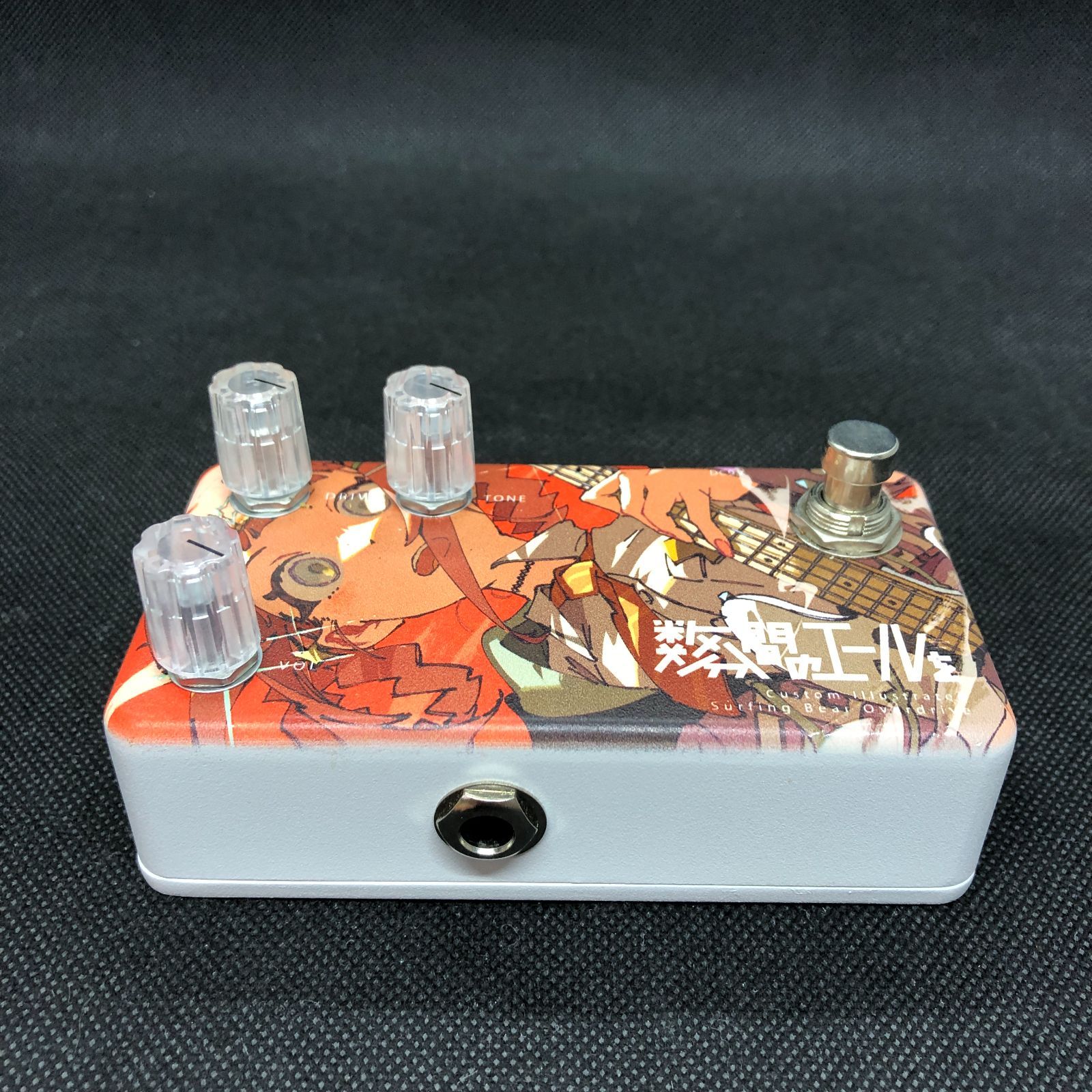Animals Pedal Custom Illustrated SBOD 数分間のエールを 中川 萠美