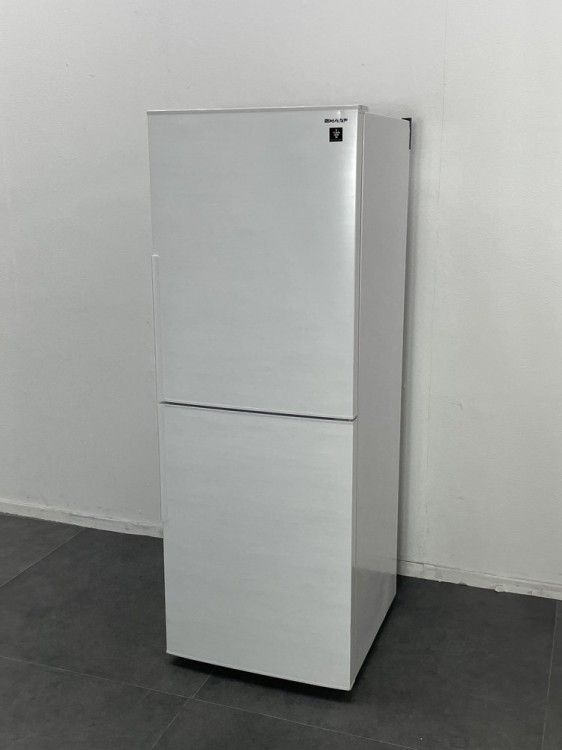 PSA10 雷 エネルギー ジム チャレンジ プロモ