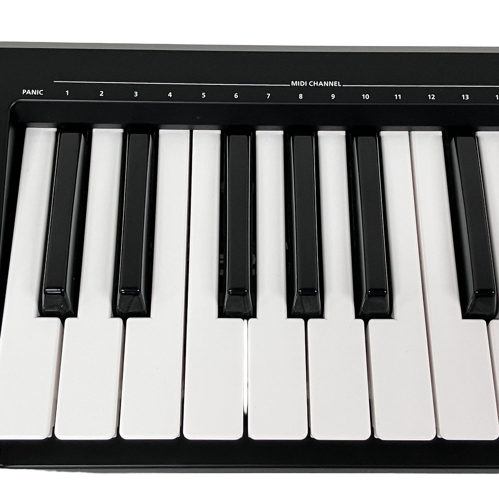 Roland A-49 MIDI キーボード 49鍵 鍵盤 ローランド 楽器 F11388285