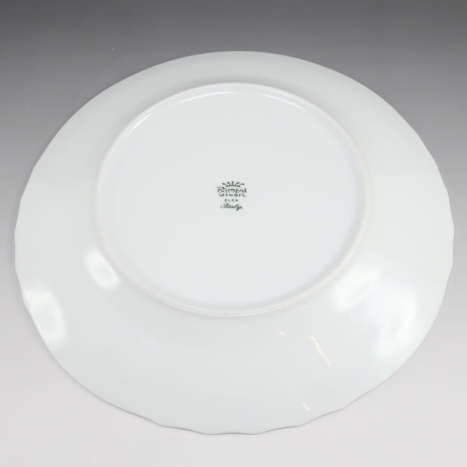 Richard Ginori】リチャードジノリ 大皿 プレート 25cm×2枚セット