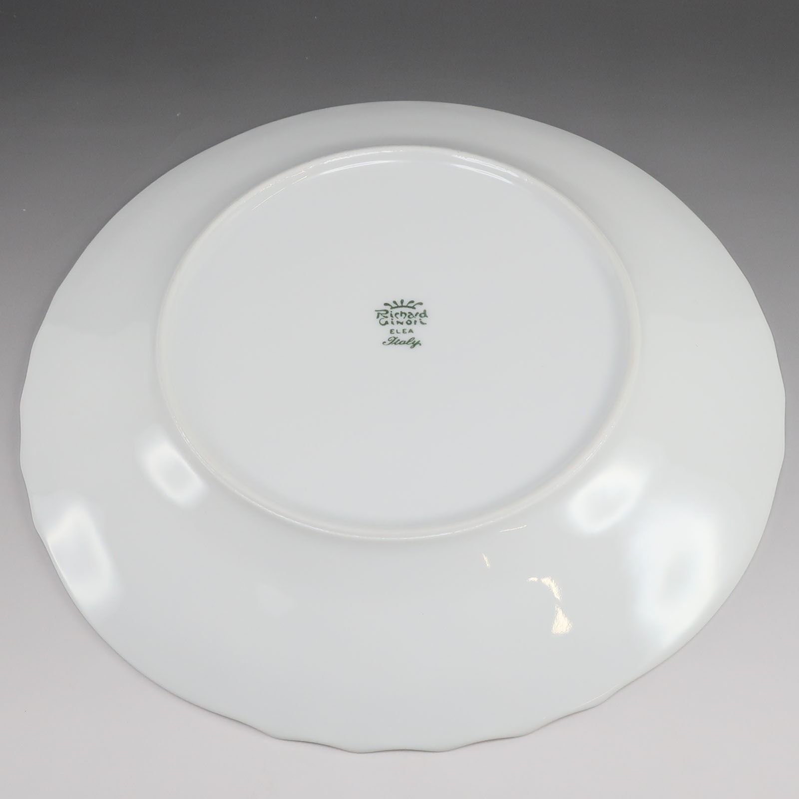 Richard Ginori】リチャードジノリ 大皿 プレート 25cm×2枚セット