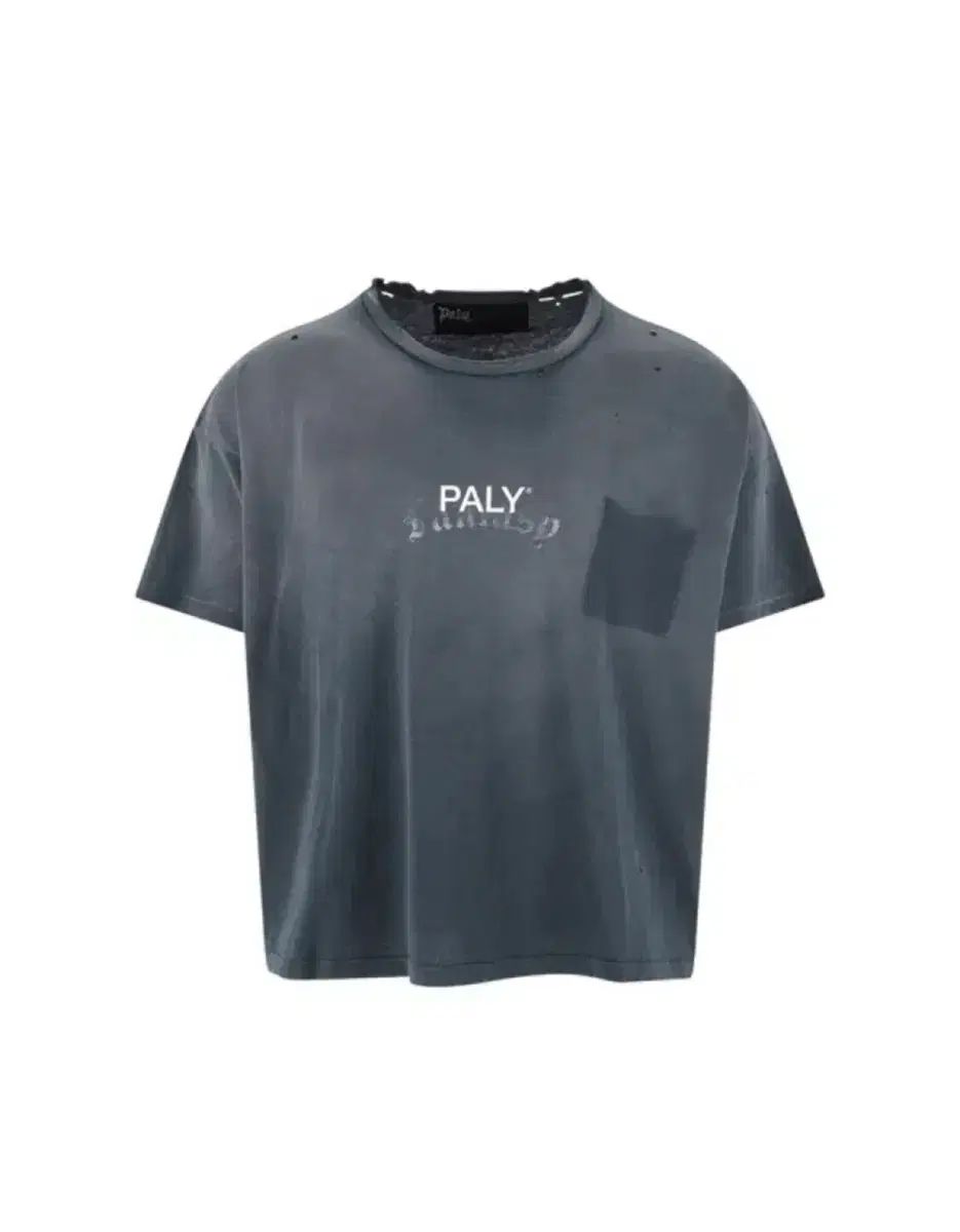 TEE LOGO CORE Paly Hollywood パリーハリウッド ⁄ - 26SS Tシャツ