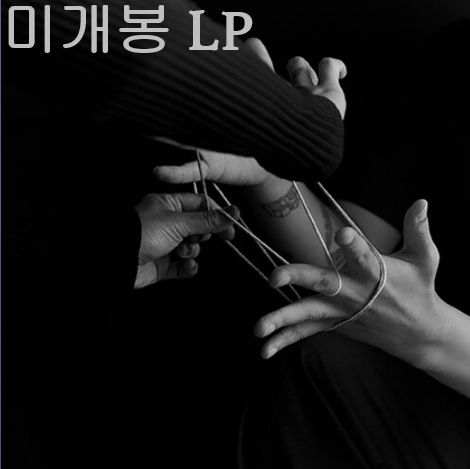 線と影 ー 1 家 ／ 夜と昼 未開封 LP ）