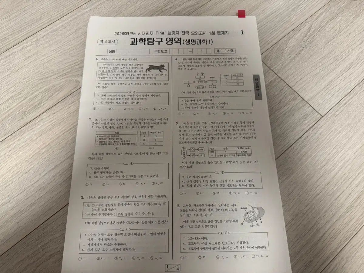 2026 生命科学I 時代人材 FINAL ブリッジ 全回次
