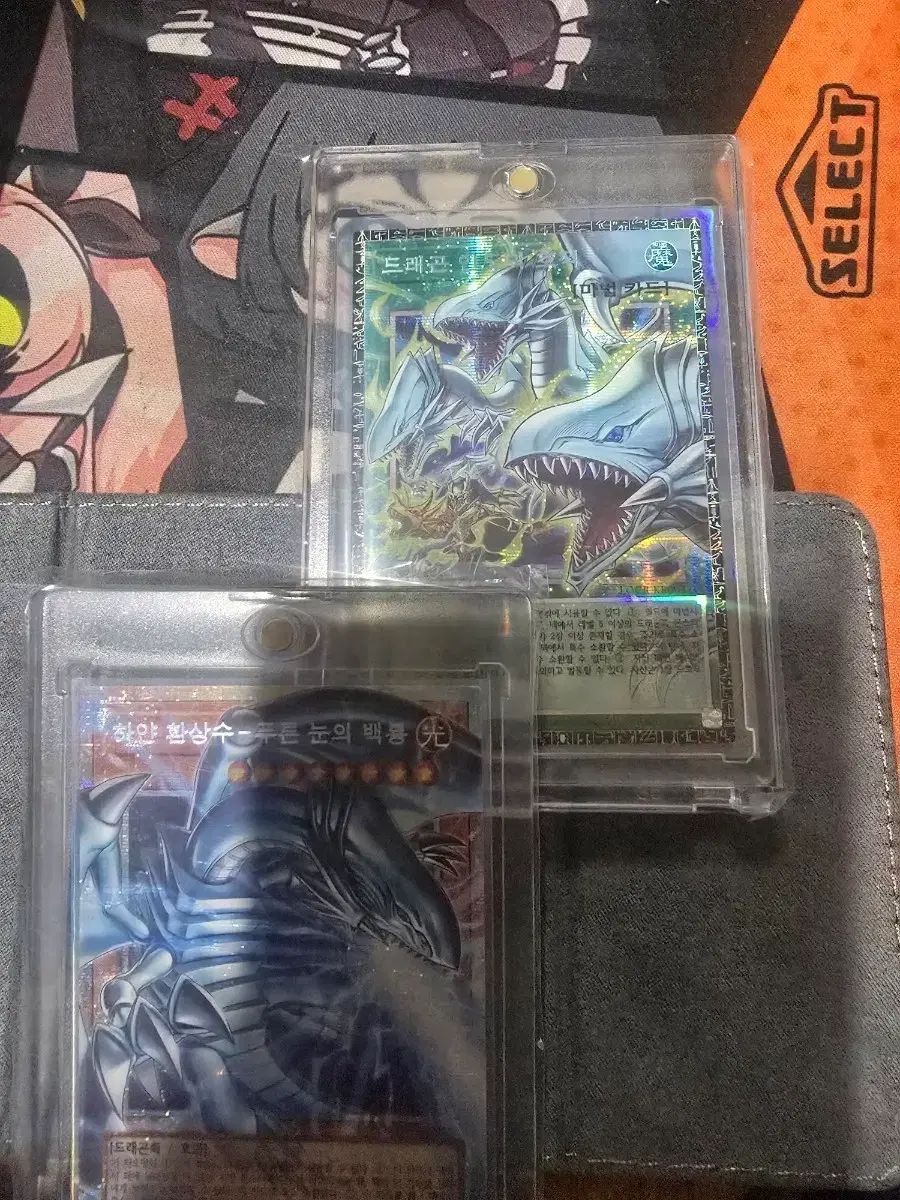 ドラゴン インドの戸籍 グマ66番 + 幻想水 푸른눈프싴 出品