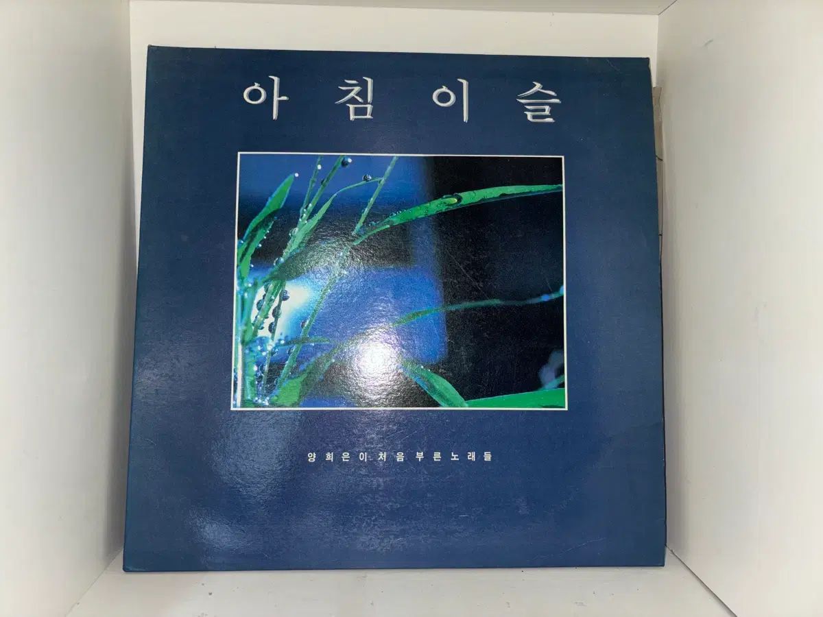 ヤン・ヒウン 朝 露 LP