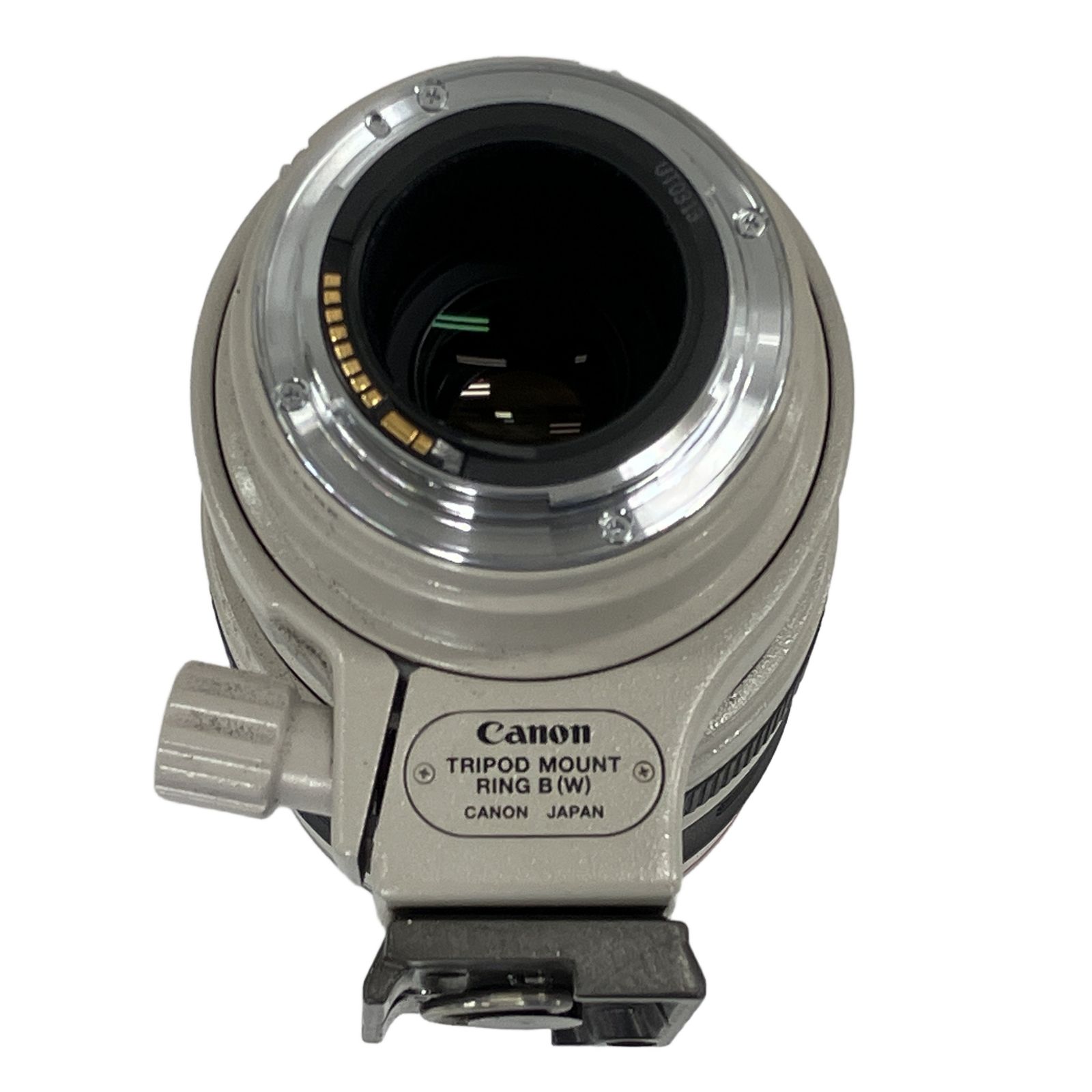 Canon EF100-400mm F4.5-5.6L IS USM ズーム レンズ EFマウント 純正 