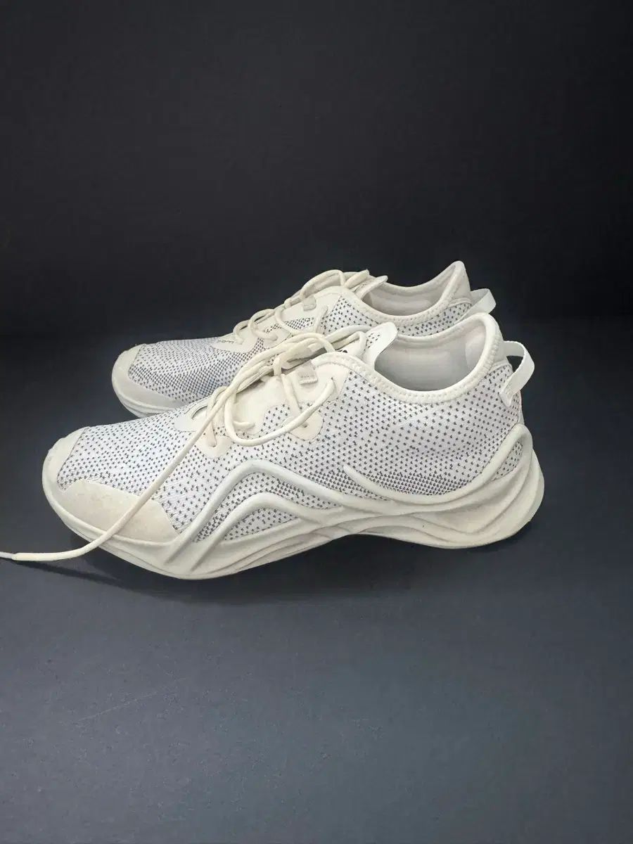 新品 エコー(ECCO) バイオム INFINITE(インフィニット) スニーカー 白 260 (EU4